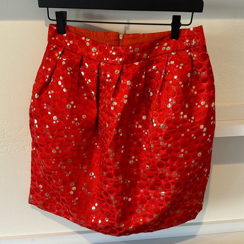 Party Skirt